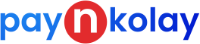 Pay N Kolay Logo